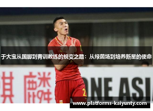 于大宝从国脚到青训教练的蜕变之路:从绿茵场到培养新星的使命 于大宝从国脚到青训教练的蜕变之路:从绿茵场到培养新星的使命