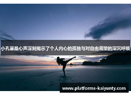 小孔塞桑心声深刻揭示了个人内心的孤独与对自由渴望的深沉呼唤