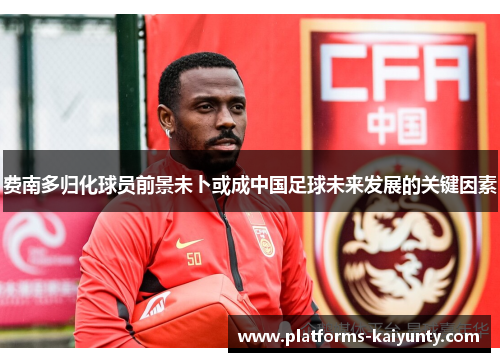 费南多归化球员前景未卜或成中国足球未来发展的关键因素 费南多归化球员前景未卜或成中国足球未来发展的关键因素