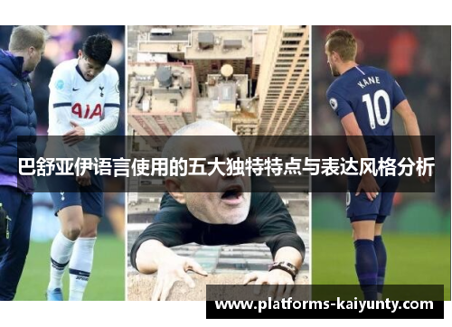 巴舒亚伊语言使用的五大独特特点与表达风格分析 巴舒亚伊语言使用的五大独特特点与表达风格分析